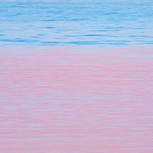 edwardbederov - Tiktok Profile Picture of edwardbederov (@edwardbederov) on Tiktok