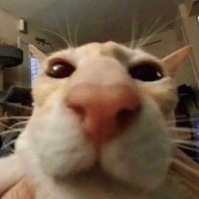 Profile Picture of Ben Fiore (@BenFiore2) on Twitter