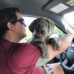 Profile Picture of Gregg Marrocco (@marroccogregg) on Instagram