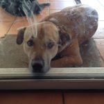 Profile Picture of Blake_Baden456 (@blake.baden.456) on Instagram