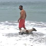 Profile Picture of Roberto Duharte (@robu00) on Pinterest