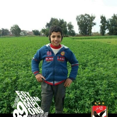 Profile Picture of Mohamed Belal (@mohamedbelal828) on Twitter