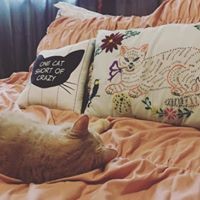 Profile Picture of Amanda Harkness (@amanda-harkness-5) on Quora