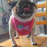 Profile Picture of david_peaden (@david_peaden) on Instagram