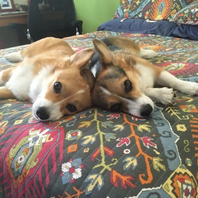 Profile Picture of Drew Fenton (@DrewFenton4) on Twitter