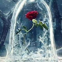 Profile Picture of Shelly Whelchel (@shelly-whelchel) on Quora