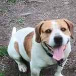 Profile Picture of Bruce Hicks (@bruce.hicks.395) on Instagram