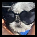 Profile Picture of Alexandra Michalopoulos (@alexandramichalopoulos) on Instagram