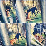 Profile Picture of Glenn Burdick (@gamervecoli) on Instagram