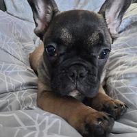 Profile Picture of Carla Clancy (@carla-clancy-4) on Quora