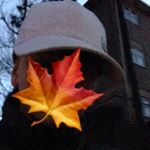 Bradley Bradford - Instagram Profile Picture of Bradley Bradford (@ig.bb420) on Instagram