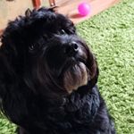 Profile Picture of Geoff Heath (@geoff_heath) on Instagram