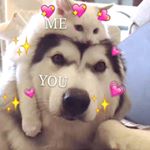 Profile Picture of Gracie (@gracie.gao_) on Instagram