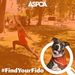 Profile Picture of Adam Monroy Alfaro (@adammonroyalfaro) on Pinterest