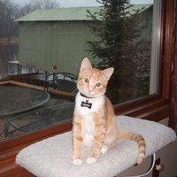 Profile Picture of Debby Krause (@debby-krause-1) on Quora