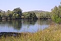 Profile Picture of Kafue Riveron Wikipedia