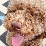 Profile Picture of Benjamin Cornwell (@benjamincornwell1494) on Youtube