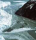 Profile Picture of Glacial lake outburst floodon Wikipedia