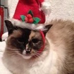 Profile Picture of Kris Bowen (@krisquilts) on Instagram