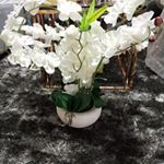 Profile Picture of eunice vicent (@young_millionaire2_decor) on Instagram