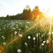 Profile Picture of Bryan Luna (@bryanluna7103) on Youtube