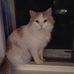 Profile Picture of Ephraim Levins (@ephraim.levins.7) on Facebook