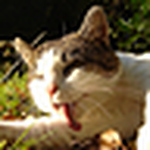 Profile Picture of tom (@lo-fi99) on Flickr