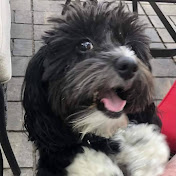 Profile Picture of Debbie Gendron (@debbiegendron8790) on Youtube