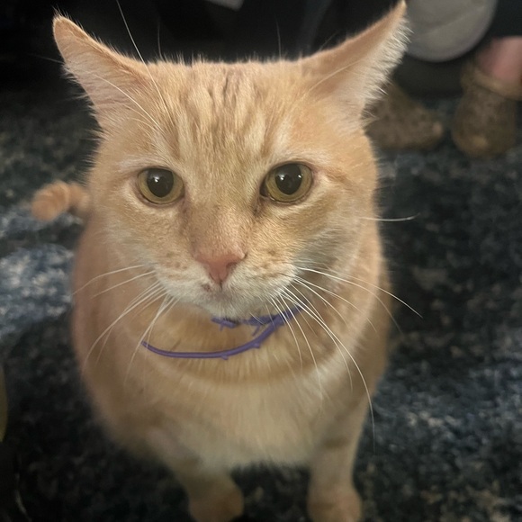 Profile Picture of Ester Lee (@lee425758) on Poshmark