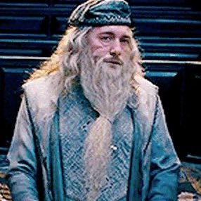 Profile Picture of Bearchaser (@GALNCMLF) on Twitter