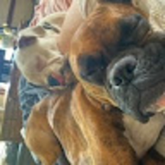 Profile Picture of Kaitlin Haehnel (@kaitlinhaehnel) on Poshmark