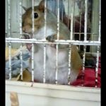 Profile Picture of selenaweaver (@selenaweaverg903) on Instagram