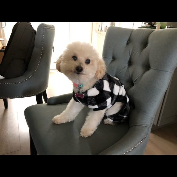 Profile Picture of Jordan Ashbach (@jashbach) on Poshmark