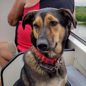 Jason Swales - Youtube Profile Picture of Jason Swales (@chich1979) on Youtube