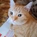 Profile Picture of Edith Uthdinger (@Edith-Uthdinger) on Facebook