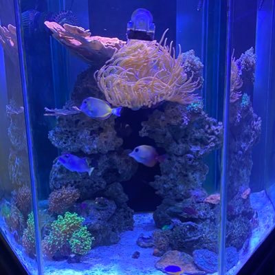 Profile Picture of Garret Bowman (@TheRealGarryB) on Twitter