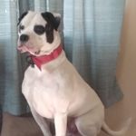 Profile Picture of Haley Denton (@haley_denton_) on Instagram