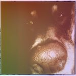 Lisa Löwenherz - Instagram Profile Picture of Lisa Löwenherz (@lenzibabe) on Instagram