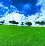 Profile Picture of Daniel Diplodocus Agondji (@Daniel-Diplodocus-Agondji) on Facebook