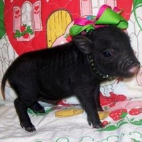 Profile Picture of Luz Sanchez (@luz-sanchez-1) on Quora