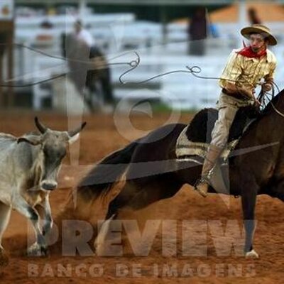 Profile Picture of Marcus Paulo Bello (@MarcusPauloBell) on Twitter