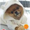 Profile Picture of Joseph Lemieux (@@josephlemieux0) on Tiktok