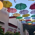 Profile Picture of Gladys Ramos (@profesionales_en_la_trinchera) on Instagram