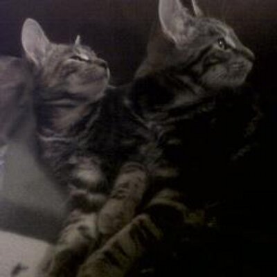 Profile Picture of Alex Widdowson (@amillward43) on Twitter