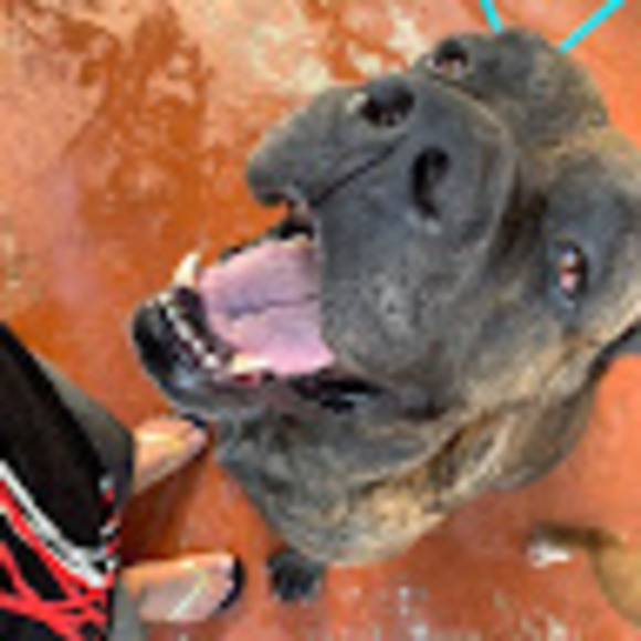 Profile Picture of Maria Ledesma (@maryledes1977) on Poshmark