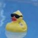 Profile Picture of Cody Hoyt (@choyt1627) on Pinterest
