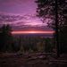 Profile Picture of Gard Arneson Haugen (@gardhaugen) on Pinterest