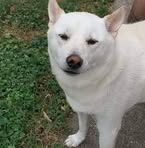 Profile Picture of Jeffery Fair (@jeffery.fair.507) on Facebook