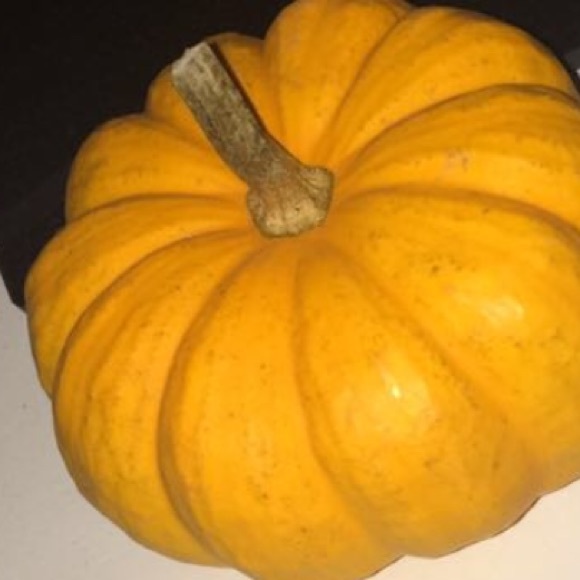 Profile Picture of Jack Zhao (@jjzhao11) on Poshmark