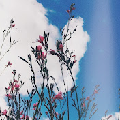 Profile Picture of Brianne Apilando (@applecherrybomb93) on Youtube